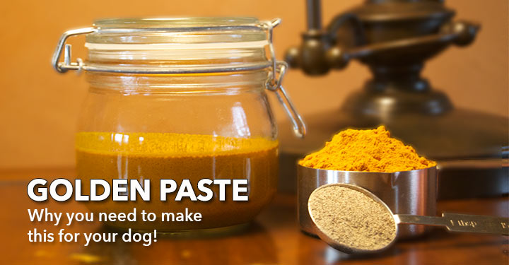 Dog's Naturally Golden Paste for Healing Recipe by Dr Dana Scott