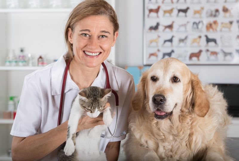 Dr Becker talks about Pet Food labels and 