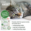 Feline Anxiety