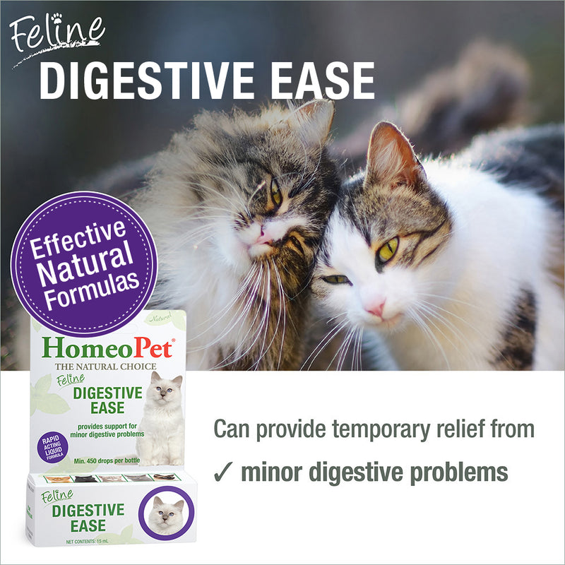 Feline Digestive Upsets: Digestive Ease