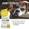 Joint Stress