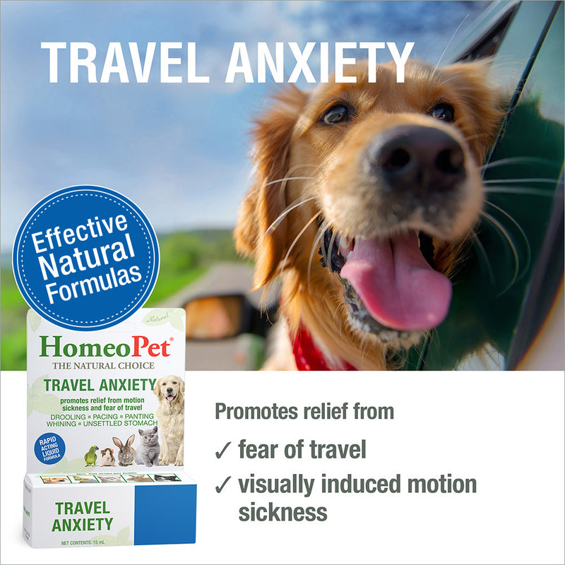 Travel Anxiety