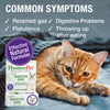 Feline Digestive Upsets: Digestive Ease