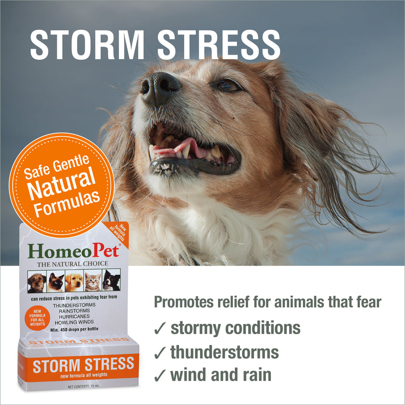 Storm Stress